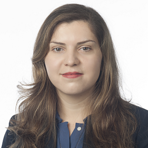 Azadeh Ansari's profile picture